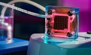 Pin nhiêu liệu hoạt động như thế nào?